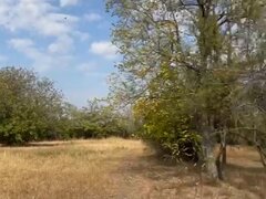 Cornatelu, Dambovita