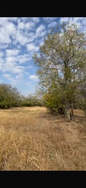 Cornatelu, Dambovita